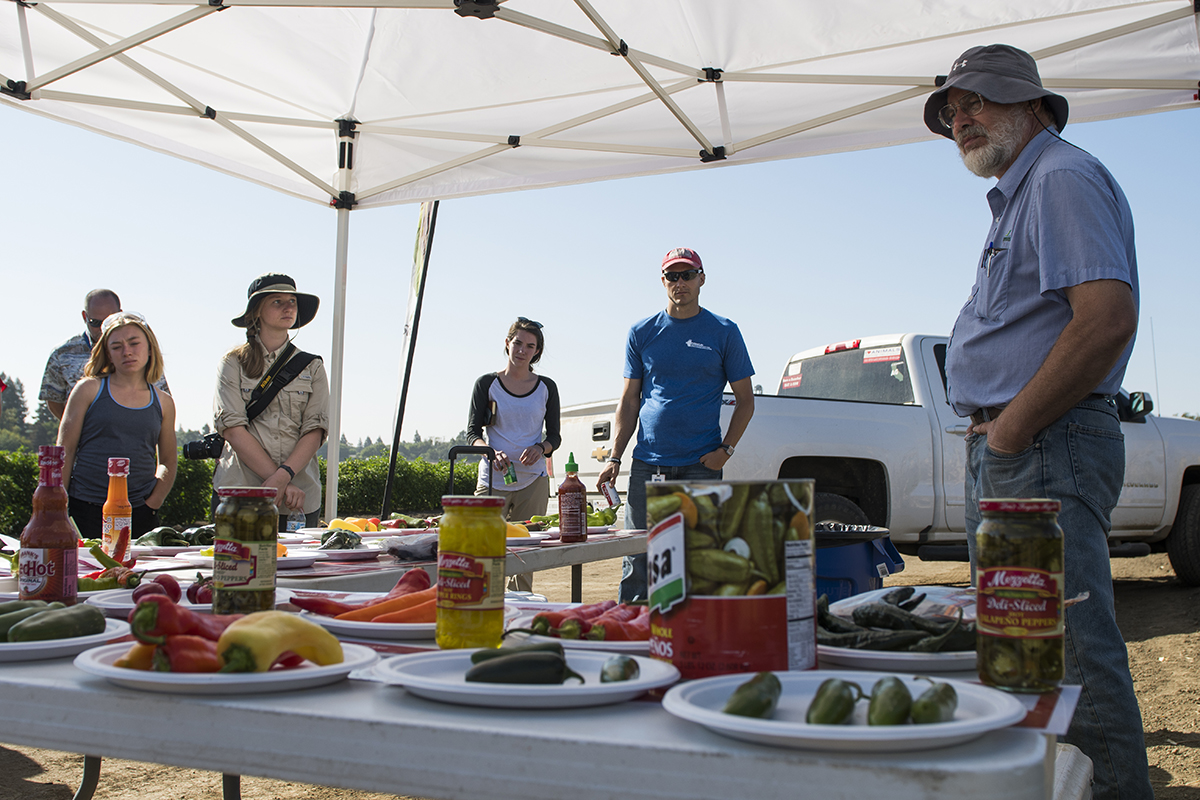 Bayer pepper breeder Terry Berke shares some of his work with a group of student journalists at the Woodland, Calif., research facility. The research Bayer conducts in their Woodland fields is considered conventional hybridization, not genetic modification.